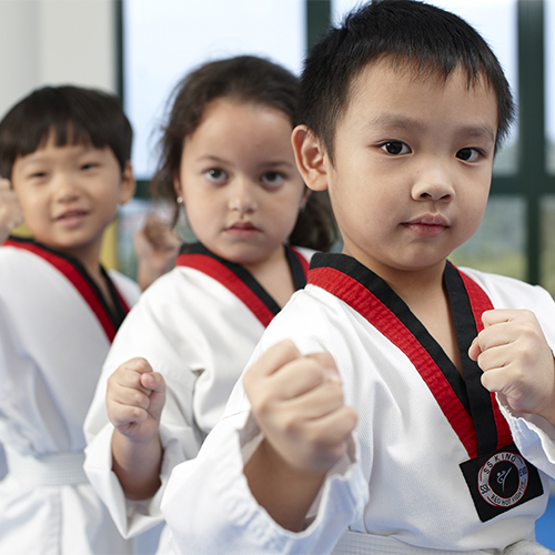 Kindyland Enrichment Class - Taekwondo