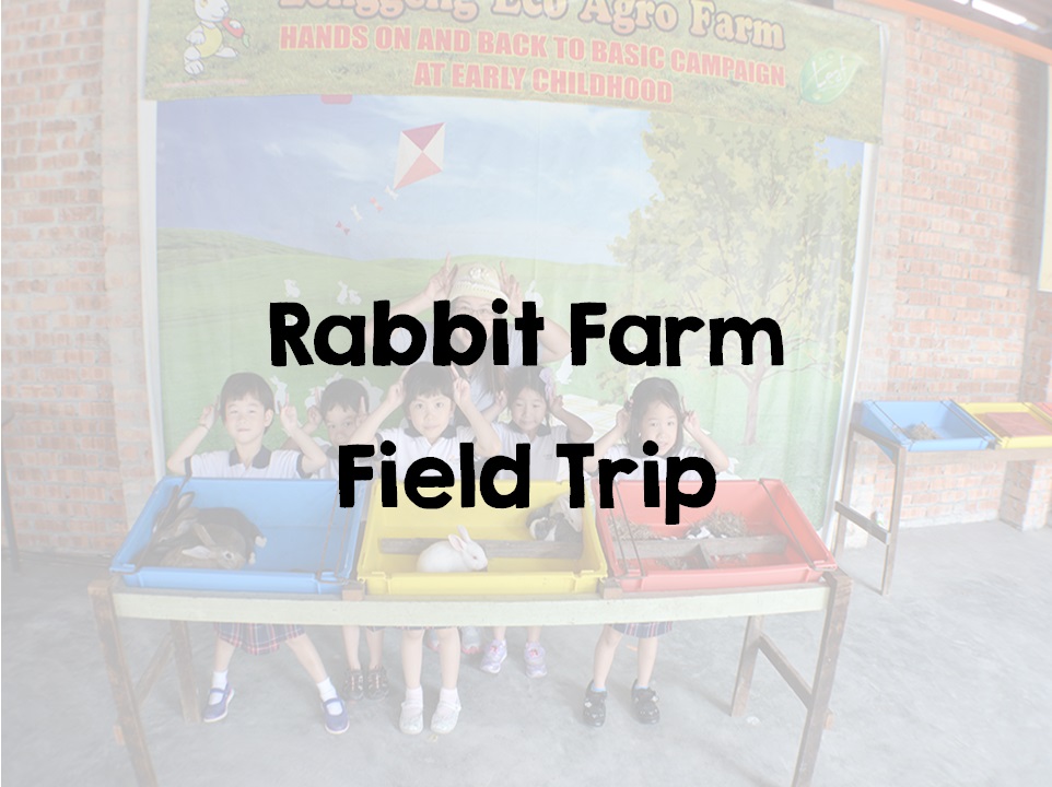 Kindyland - Best Kindergarten Petaling Jaya