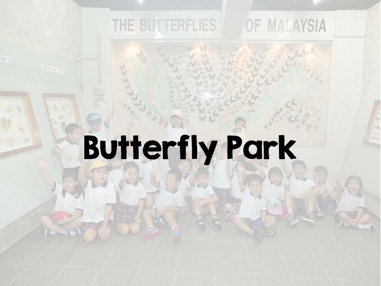 Kindyland - Best Kindergarten Petaling Jaya